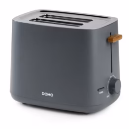 Röster Domo 2-le viilule,1000W, antratsiit